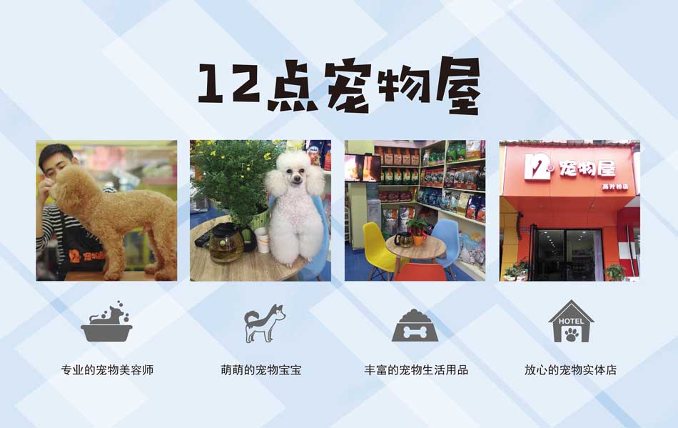 12点宠物屋